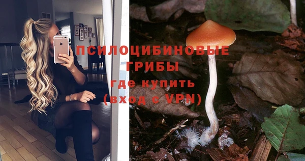 индика Карталы
