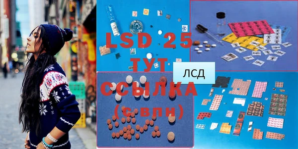 индика Карталы