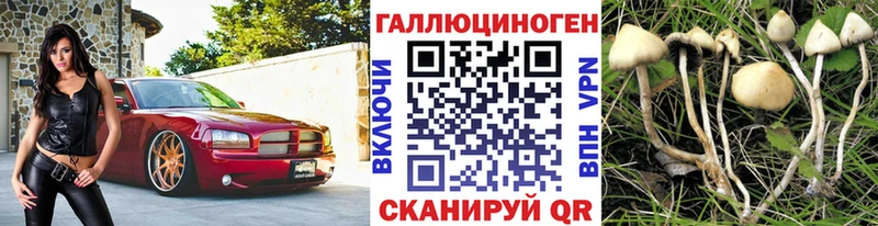 Галлюциногенные грибы Psilocybine cubensis  Малоархангельск 